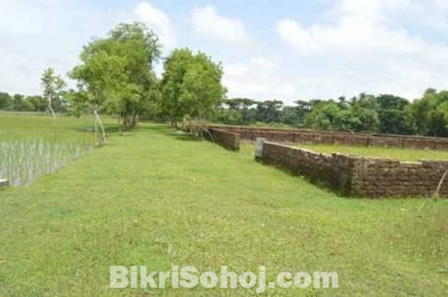 Plot Sale at Kuakata near sea beach